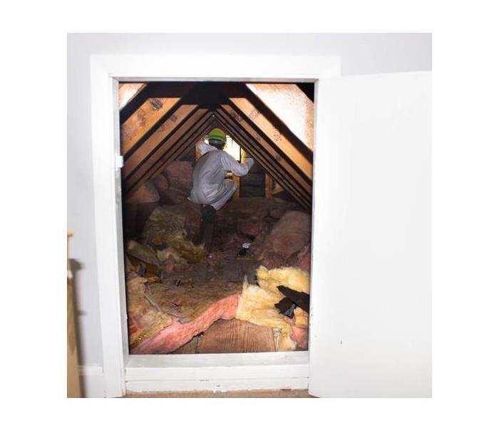 Technician investigating water damage in attic.