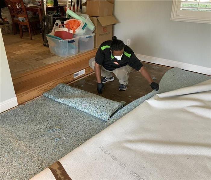 SERVPRO tech taking out carpet