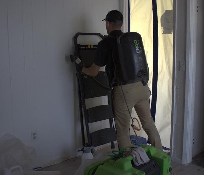 Employee removes mold-damaged debris. 