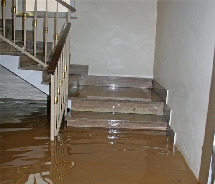 Contaminated water floods a house, the water reaches up to the stairs